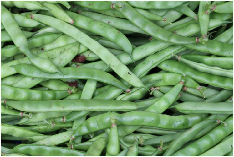 Beans RobHalf runnerBeans