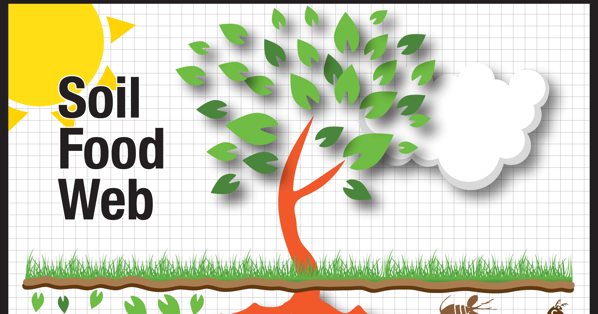 Soil Food Web is a Relationship for Plants - Be Organics